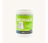 Horse Masters NAF Five Star Laminaze Pellets - Daily Laminae & Metabolic Support Supplement for Horses & Ponies | With Prebiotics, Probiotics & Postbiotics | Digestive & Gut Health Formula