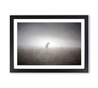 Horse Mist Sweden Landscape Framed Print | A2 Oak Framed Wall Art | Ready to Hang | Modern Animal Picture | Living Room Bedroom Lounge Office
