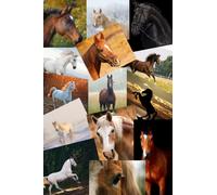 Horse Notebook: A Horse Themed Blank Lined Notebook, 120 pages, Perfect For Horse Lovers