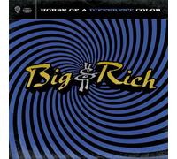 Horse Of A Different Color by Big & Rich (2004-05-04)