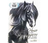 Horse of the Gypsies