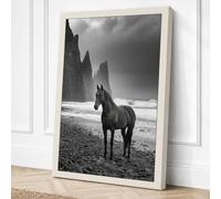 Horse on Rocky Shore Coastal Canvas Wall Art Print 30x20 Inch (76 x 51 cm)