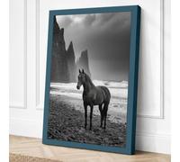 Horse on Rocky Shore Coastal Canvas Wall Art Print 36x24 Inch (91 x 61 cm)