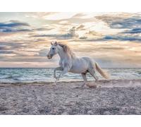 Ravensburger 12000222 - Evening Gallop - 500 pieces jigsaw puzzle - Puzzle for adults and kids age 12 years up, Horse jigsaw puzzle
