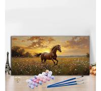 Horse Paint by Numbers for Adults Beginners, DIY Paint by Numbers Animals Colored Canvas Drawing, Easy Arts and Crafts for Adults Oil Painting Kit for Relax and Christmas Decorations 40x70CM G8-912