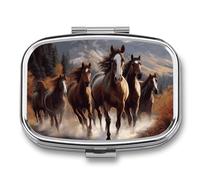 Horse Pill Box 2 Compartments Portable Pill Box with Mirror Square Metal Medicine Storage Box Medicine Box for Vitamins Fish Oil