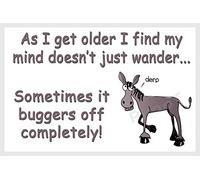 Horse Pony Donkey Funny Fridge Magnet Gift - As I get Older...
