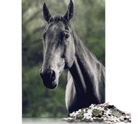 Horse Poster, Picture, Metal Print, Paint by FotoKonzepte Puzzle 500 Pieces Jigsaws Wooden Puzzle for Adults And Teenager Puzzles for Adults Teens 500pcs (52x38cm)
