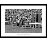 Horse Racing Framed Brigadier Gerard 1971 Photo Memorabilia