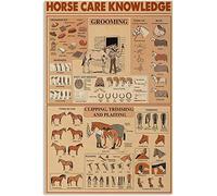 Horse Racing Knowledge Metal Tin Signs Equestrian Lovers Poster Aluminum Signs Decor Club Decor Farm Wall Decoration Retro Plaque 12x16inches