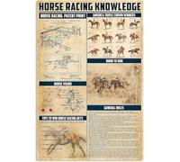 Horse Racing Knowledge Metal Tin Signs Equestrian Lovers Poster Aluminum Signs Decor Club Decor Farm Wall Decoration Retro Plaque 12x8inches