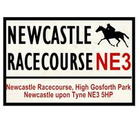 Horse Racing Road Signs (Newcastle) S 8X12 Inches