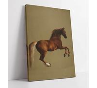 Horse Racing Whistlejacket George Stubbs Canvas Wall Art Print Picture - 12 inch wide x 18 inch high (Frame Depth 30mm)