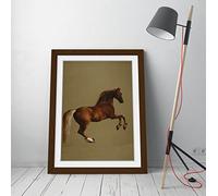 Horse Racing Whistlejacket George Stubbs Framed Wall Art Picture Print - A4 - Walnut Frame