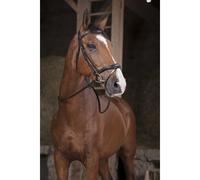 Horse Reins Norton Pro Supergrip