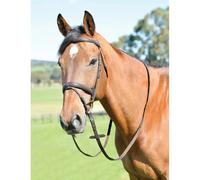 Horse riding bridle with reins Kincade Classic