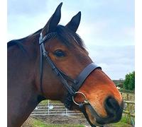 Horse Riding Hunter Bridle - Pony Plaited Browband and Noseband with Strong Reins and Stainless Steel Fittings - Racing Jumper Ring Show Para-Equestrian Training Equipment (Full, Brown)