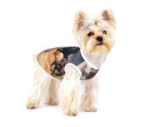 Horse Running In The Desert,Cotton Sleeveless Pet T-Shirt Soft Stretchy Puppy Breathable Vest,S