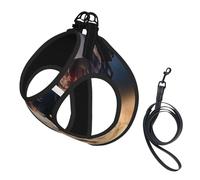 Horse Running In The Desert,Pet Harness,Adjustable Reflective Dog Harness,Pet Leash Vest,S