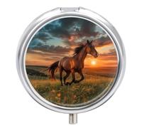 Horse Running on Grass Pill Case Travel Medicine Organizer Box