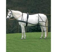 Horse saddle pad Star