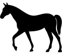 Horse Silhouette Vinyl Decal Sticker for Car/Window/Wall (White Gloss)