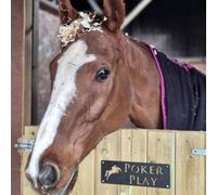 Horse Stable Name Sign,Custom Stable Door Sign,Horse Stall Name Plate,Horse Name Plaque,Laser Cut Designs,Personalised Gift Horse Lover