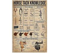 Horse Tack Knowledge Metal Tin Signs Different Types Of Saddle Retro Posters Equestrian Club Shop Cafe Living Room Farm Kitchen Bathroom Home Art Wall Decoration Plaque Gift