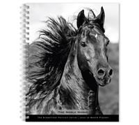 Horse, The Noble, The BrownTrout Portrait Series 2027 Engagement