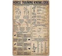 Horse Training Knowledge Retro Metal Tin Sign Construction Worker Knowledge Poster Vintage Plaque Wall Decor Home Kitchen Office Club Bar Gym 12x16 Inch