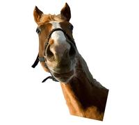 Horse Wall Decal, Horse Wall Stickers, Wild Horses Peel and Stick Wall Decals, Farm Animal Window Decals, Peel & Stick Removable Sticker for Playroom