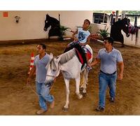 Horse Whisperer - Part 2 & Cervim Equine Therapy