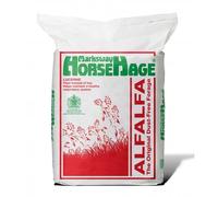 Horsehage Lucerne/Alfalfa - Red