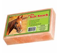 Horsemen's Pride 100% Himalayan Salt Brick, 4 Pounds