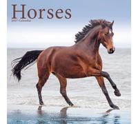 Horses 2027 Calendar | Square Wall Calendar | Animal Gift | Plastic Free Packaging | by Avonside Publishing