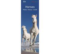 Horses 2024 Bookmark Calendar 5.5 x 16.5 cm Horses Animal Calendar Reading Aid Alpha Edition