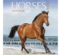 Horses 2024 Calendar
