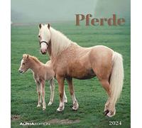 Horses 2024 - Postcard Calendar 16 x 17 cm - Horses - for Standing or Hanging - Monthly Calendar - Gadget - Souvenir - Alpha Edition