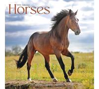 Horses 2026 Calendar | Square Wall Calendar | Animal Gift | Plastic Free Packaging | by Avonside Publishing