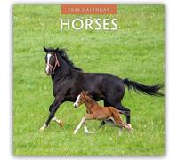 Horses 2026 Square Wall Calendar: Original Red Robin Publishing Ltd-Kalender [Mehrsprachig] [Kalender]
