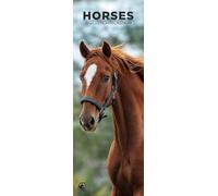 Horses 2026 Wall Calendar, 12-Month Slim Format, Made in England