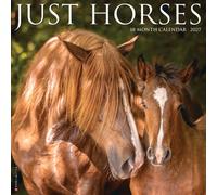 Horses 2027 Wall