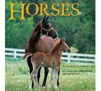 Horses: An Abridgement of Harold Roth's Big Book of Horses (Grosset & Dunlap All Aboard Book)