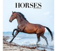 Horses Calendar 2024 | Square Horses Wall Calendar - 16 Month