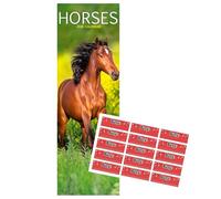 Horses Calendar 2026 Slimline Calendar with FREE Organisational Stickers