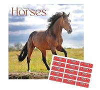 Horses Calendar 2026 | Square Wall Horse Calendar | 16 Month | Animal | With Free Organisational Stickers