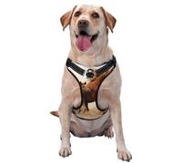 Horses Cubs Two Run,Pet Harness,Adjustable Reflective Dog Harness,Pet Leash Vest,S