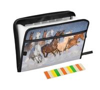 Horses in Snow Expanding File Folder A4,13 Pockets File Organiser, Paperwork A4 Plastic Wallet Document Storage Expander for School,Office and Home
