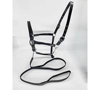 Horses Leather & Nylon Mix Halter With Matching Lead Rope Black Colour (Set) (Full)