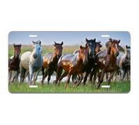 Horses License Plate,Horses Running Decorative Car Front License Plate,Vanity Tag,Metal Car Plate Retro Metal Tin Sign 8X12 Inches